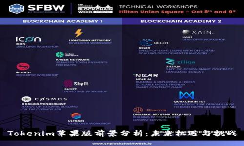 Tokenim苹果版前景分析：未来机遇与挑战
