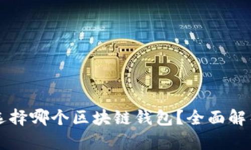 新手该选择哪个区块链钱包？全面解析与推荐