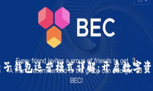 区块链电子钱包运营模式详解：开启数字资产新篇章