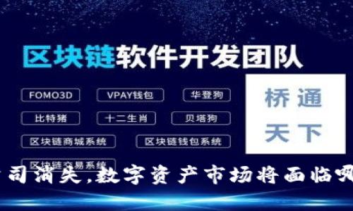 如果Tokenim公司消失，数字资产市场将面临哪些挑战与机遇？