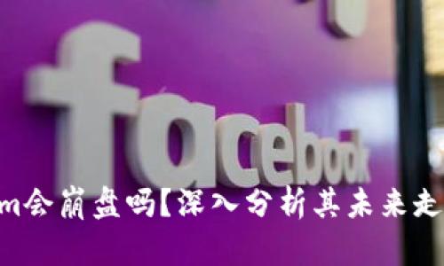  Token.im会崩盘吗？深入分析其未来走势与风险