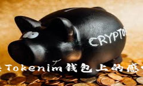 如何解决Tokenim钱包上的感叹号问题