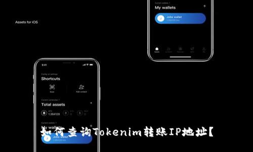 如何查询Tokenim转账IP地址？