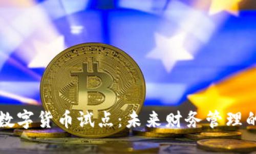 电子钱包数字货币试点：未来财务管理的智能选择