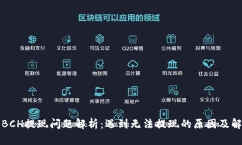 比特派BCH提现问题解析：遇到无法提现的原因及解决方案