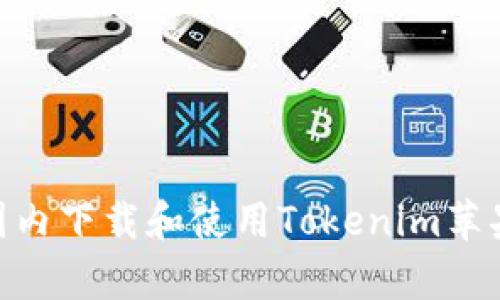 如何在国内下载和使用Tokenim苹果版 App