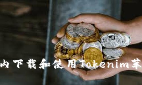 如何在国内下载和使用Tokenim苹果版 App