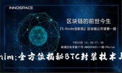 Tokenim：全方位揭秘BTC封装