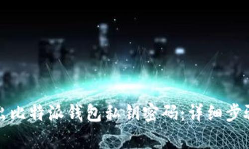 如何安全导出比特派钱包私钥密码：详细步骤与注意事项