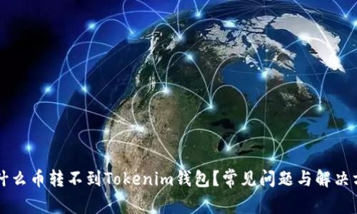 为什么币转不到Tokenim钱包？常见问题与解决方案