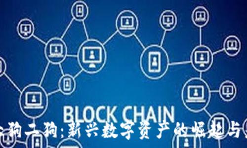   
虚拟币大狗二狗：新兴数字资产的崛起与未来发展