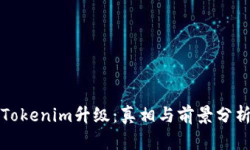 Tokenim升级：真相与前景分析