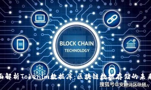 : 全面解析Tokenim数据库：区块链数据存储的未来趋势