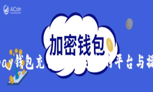 : 808pay钱包充值指南：支持的平台与操作流程