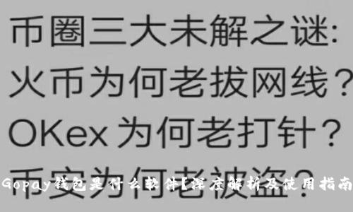 Gopay钱包是什么软件？深度解析及使用指南