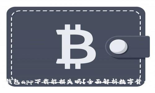 数字货币钱包app下载能损失吗？全面解析数字货币投资风险