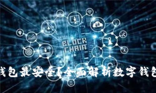哪个数字钱包最安全？全面解析数字钱包的安全性