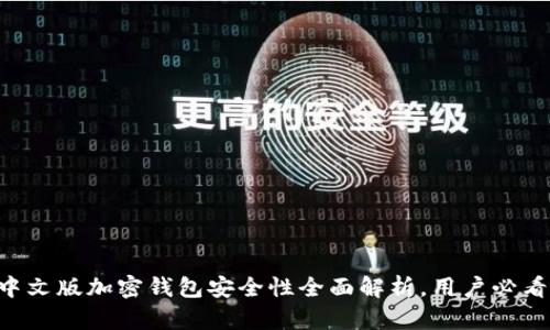 中文版加密钱包安全性全面解析，用户必看！
