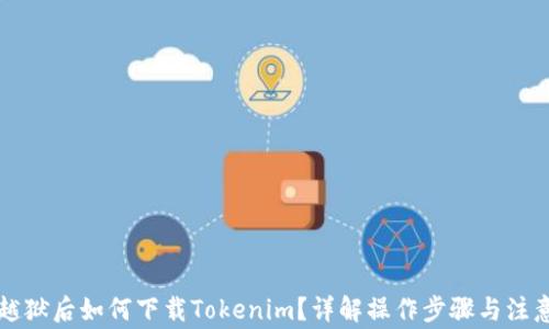 
苹果越狱后如何下载Tokenim？详解操作步骤与注意事项