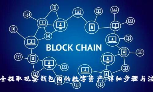 如何安全提取观察钱包内的数字资产：详细步骤与注意事项