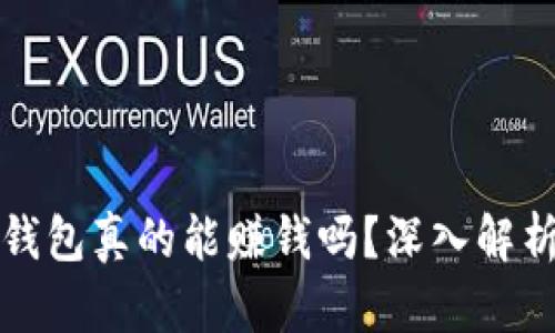 区块链数字钱包真的能赚钱吗？深入解析与投资策略