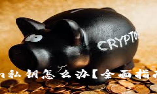 忘记Tokenim私钥怎么办？全面指南与解决方案