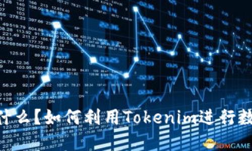 Tokenim是什么？如何利用Tokenim进行数字资产管理