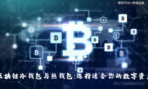 深入了解区块链冷钱包与热钱包：选择适合你的数字资产存储方案