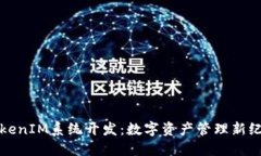 TokenIM系统开发：数字资产