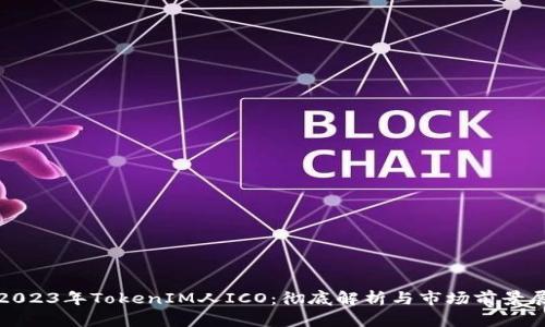 : 2023年TokenIM人ICO：彻底解析与市场前景展望