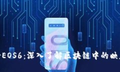 Tokenim映射EOS6：深入了解区