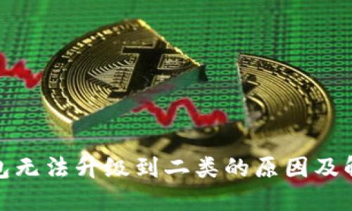 数字钱包无法升级到二类的原因及解决方案