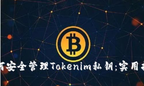如何安全管理Tokenim私钥：实用指南