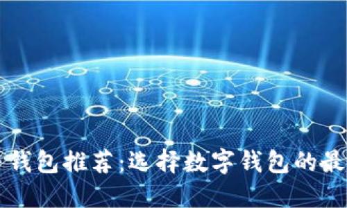 虚拟币钱包推荐：选择数字钱包的最佳指南