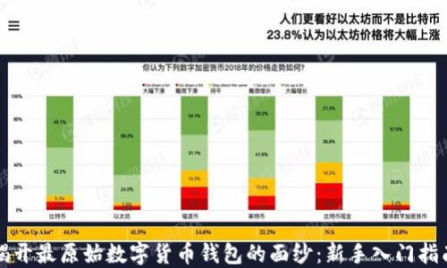 
揭开最原始数字货币钱包的面纱：新手入门指南