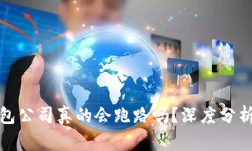 数字货币钱包公司真的会跑路吗？深度分析与风险防范