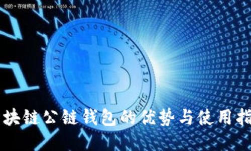区块链公链钱包的优势与使用指南