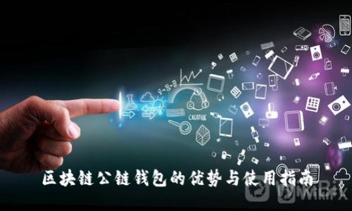 区块链公链钱包的优势与使用指南
