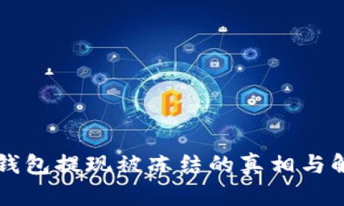 虚拟币钱包提现被冻结的真相与解决方案