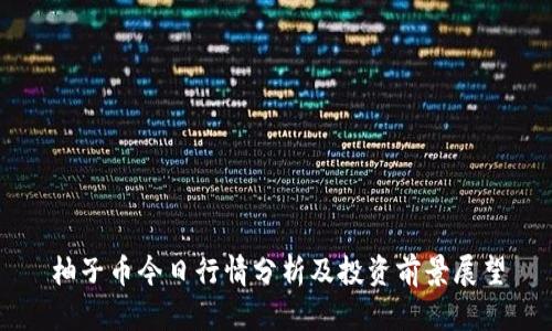 柚子币今日行情分析及投资前景展望