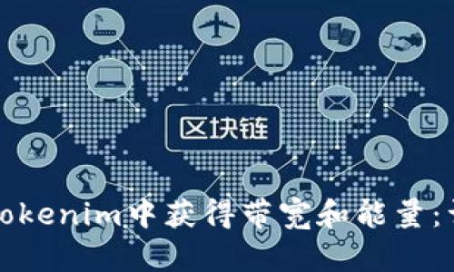 如何在Tokenim中获得带宽和能量：详细指南