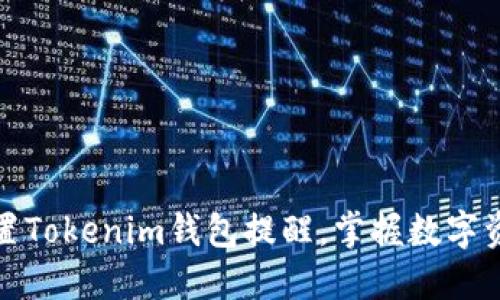 如何设置Tokenim钱包提醒，掌握数字资产管理