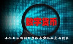 小企业如何利用虚拟币实现融资与增长