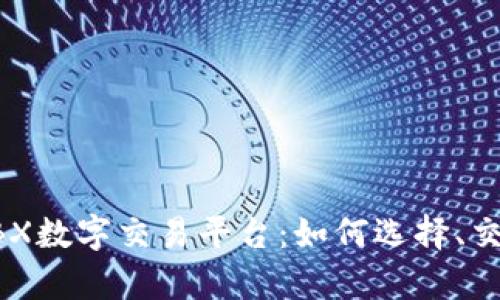 深入解析BBX数字交易平台：如何选择、交易与安全性