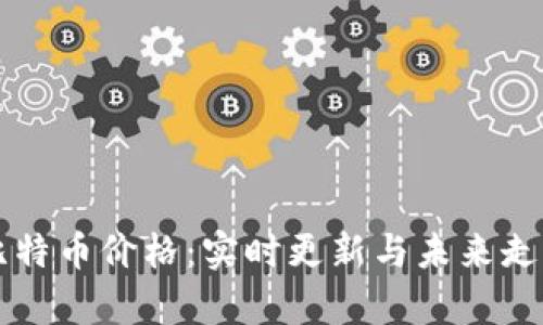 虚拟比特币价格：实时更新与未来走势分析