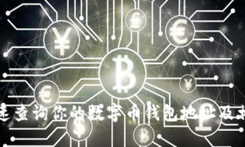 如何快速查询你的数字币钱包地址及相关信息