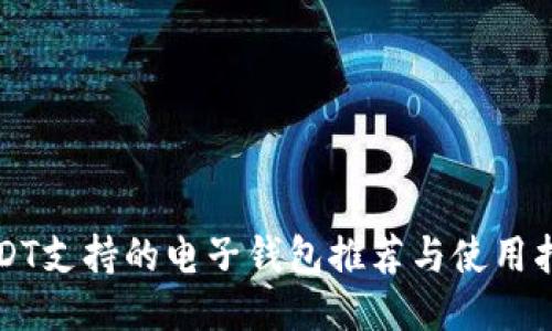 USDT支持的电子钱包推荐与使用指南