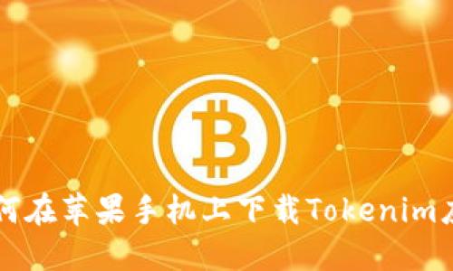 如何在苹果手机上下载Tokenim应用