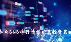 今日BNB币行情分析及投资