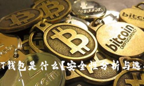 : USDT钱包是什么？安全性分析与选择指南